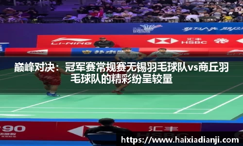 巅峰对决：冠军赛常规赛无锡羽毛球队vs商丘羽毛球队的精彩纷呈较量