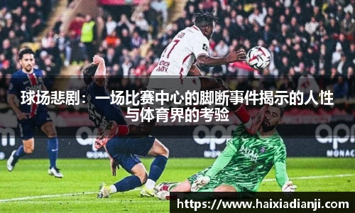 米乐M6官网